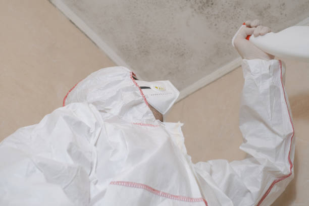 Best Kitchen Mold Remediation in Fox River Grove, IL